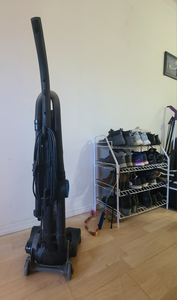 EUREKA! Airspeed One Vaccume - photo 2