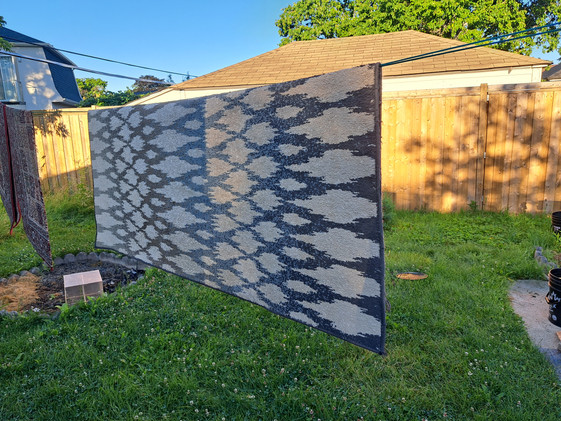 free carpet