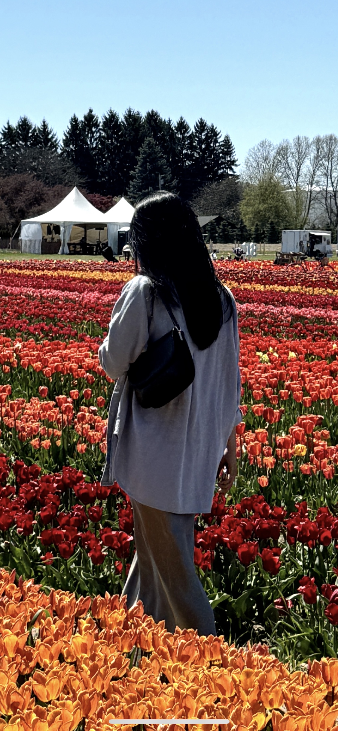 Black mini bag - photo 4