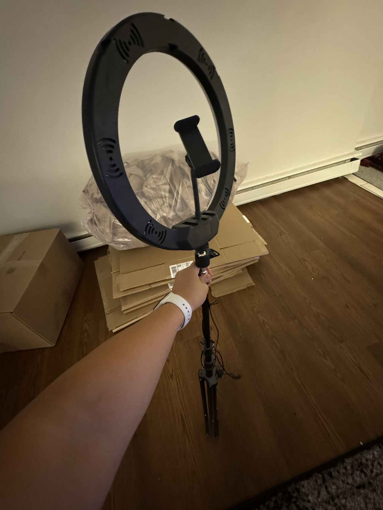 Ring light - photo 2