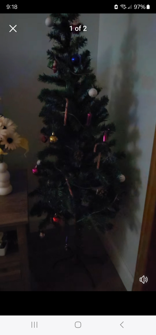 Xmas tree 🌲