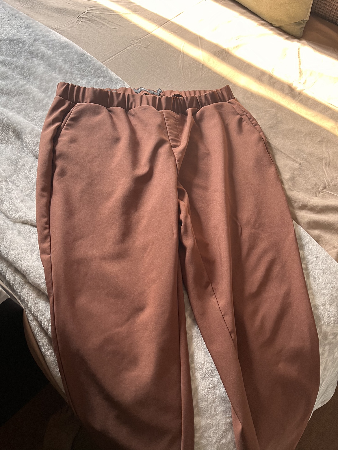 Torrid studio pants