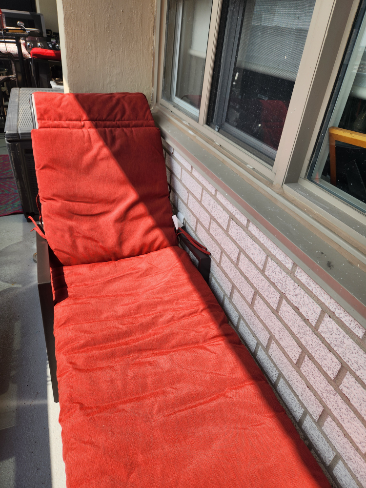chaise lounge pad for lounger.