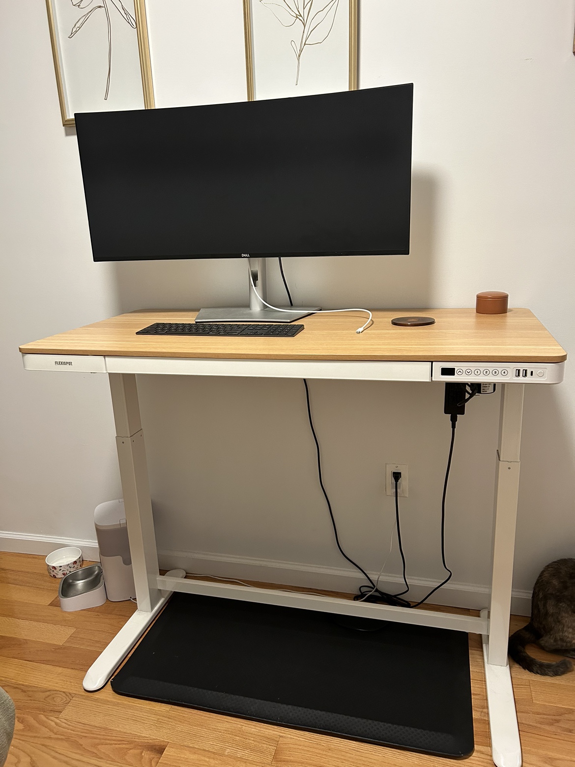 Electronic standing desk