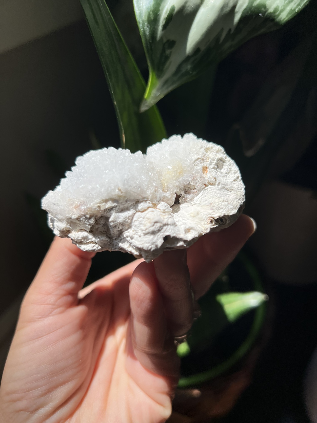 Clear quartz specimen (d) | crystal image indicator(7)