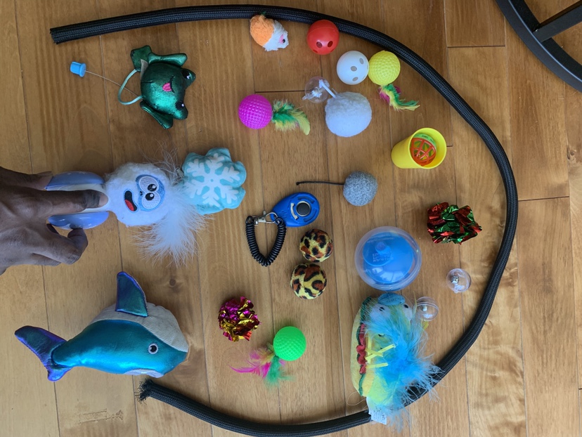 Cat/Kitten  toys - photo 2