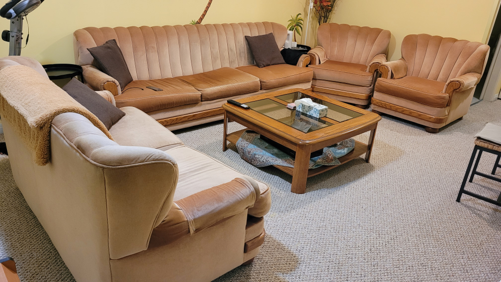 furniture( living room set)