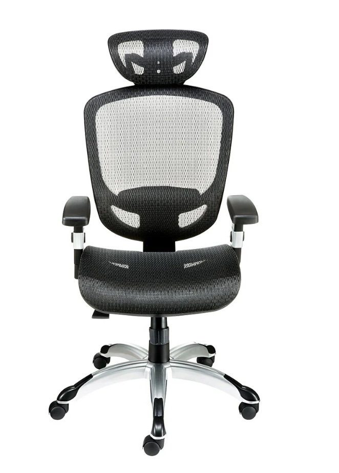 Mesh OFFICE CHAIR • Ergonomic w Lumbar + Headrest