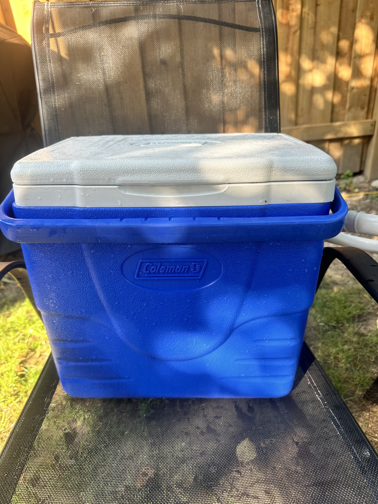 Coleman cooler thumbnail