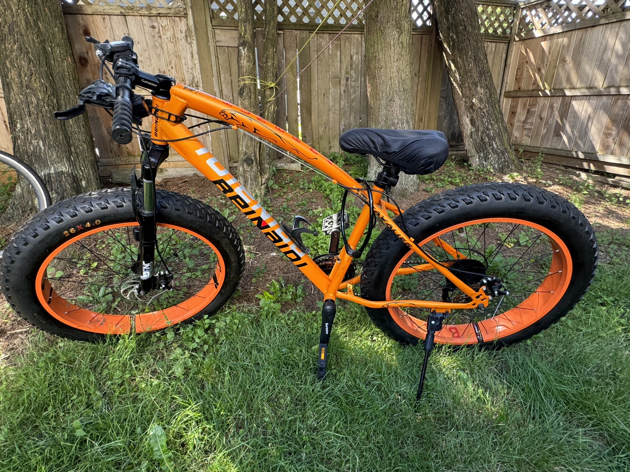 Fat bike