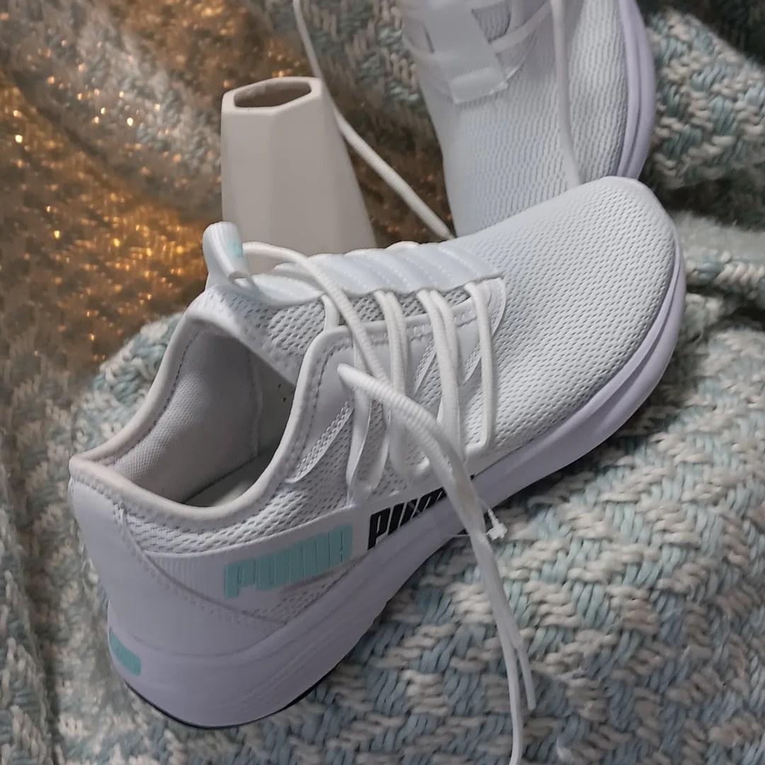 puma