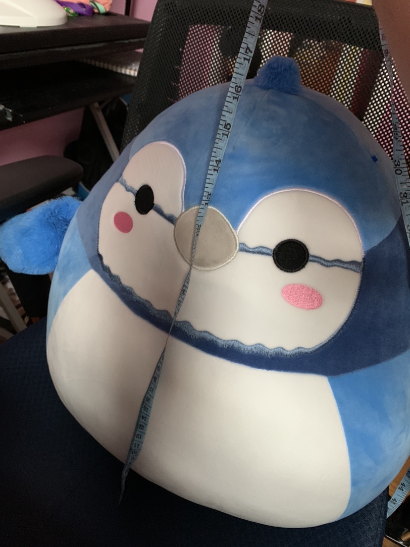 Babs the Blue Jay 16” Squishmallow image indicator(3)