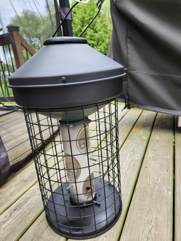 squirrel proof birdfeeder