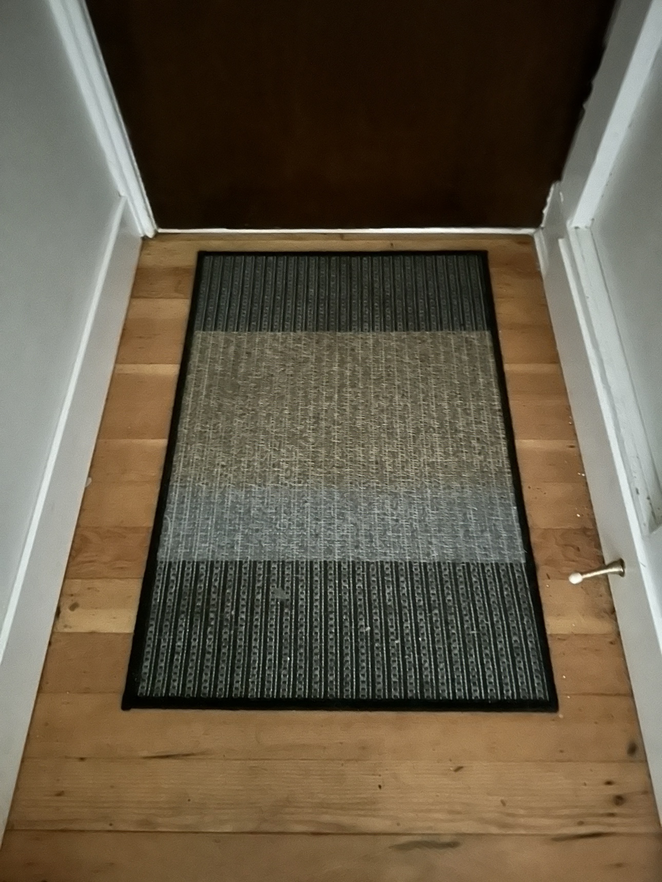 Free door/shoe mat (must take both)