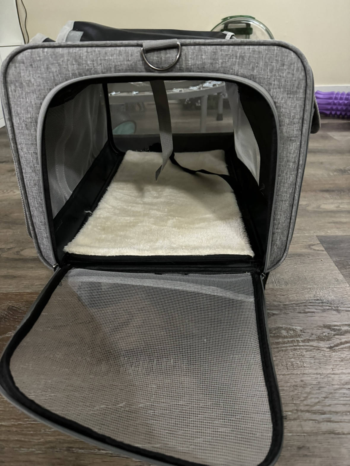 Pet carry on image indicator(5)