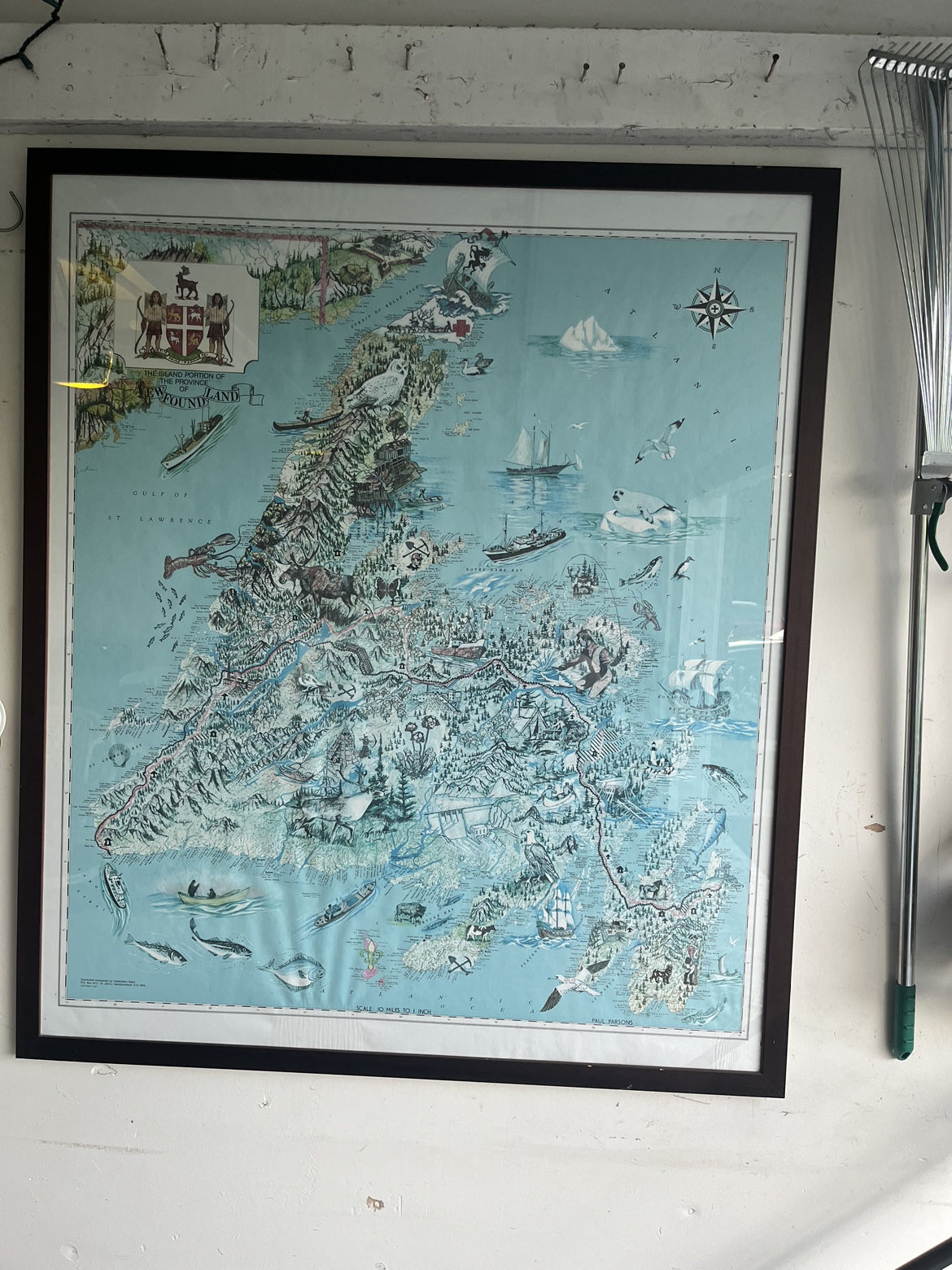 Large framed Map of Newfoundland 40 x 38