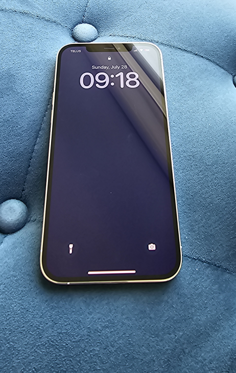 IPhone 12 Pro Max 256 GB - photo 3