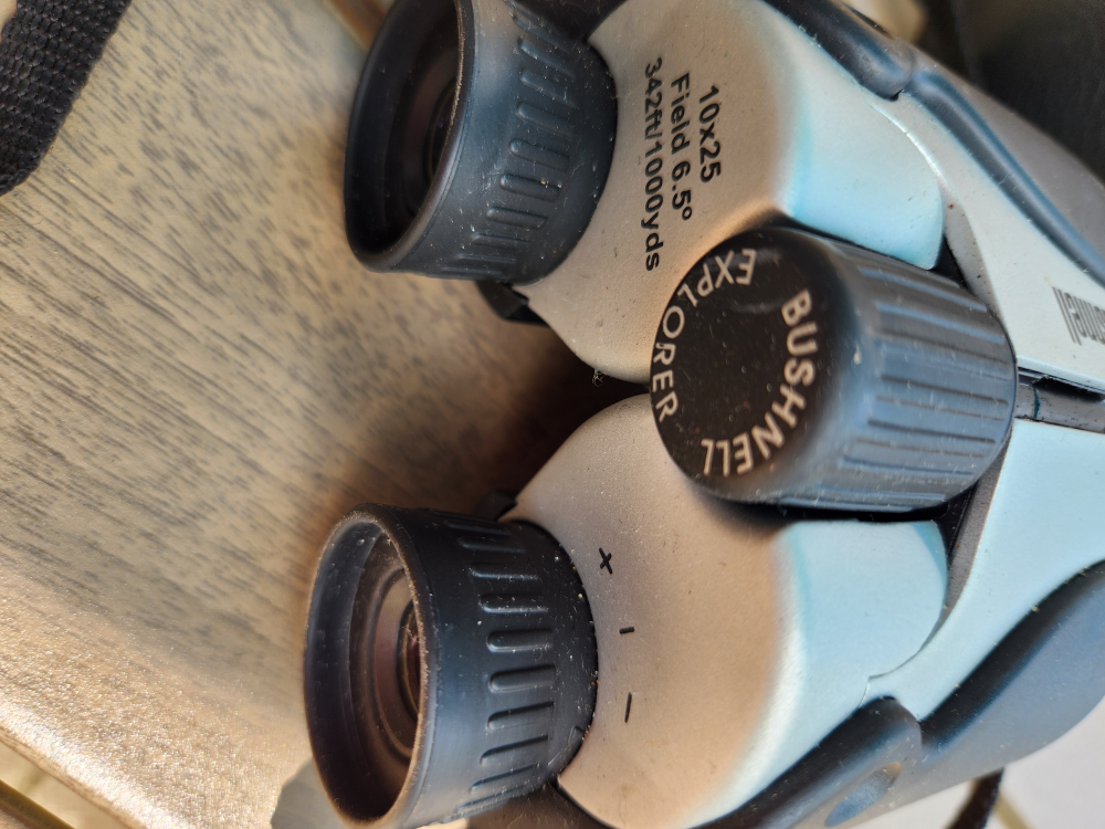 Binoculars image indicator(6)