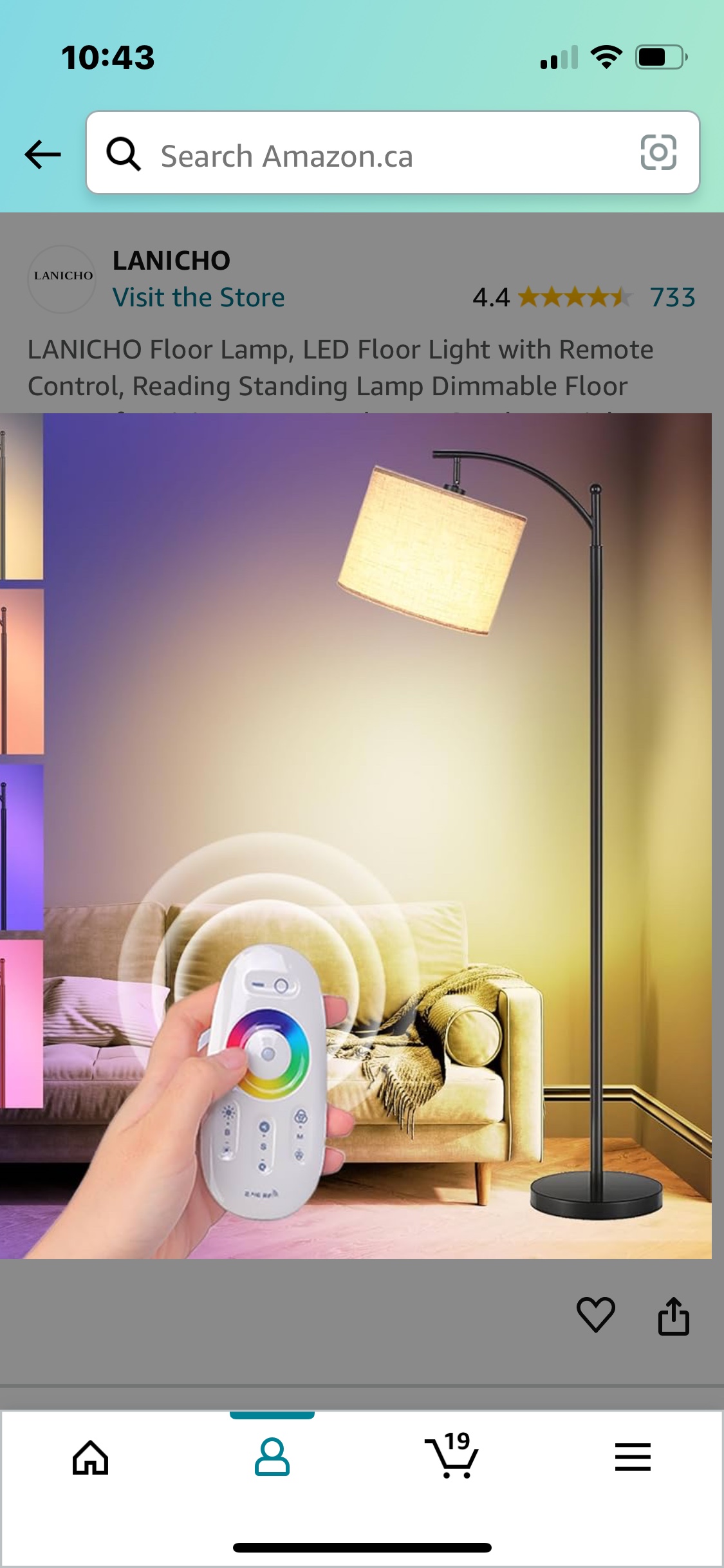 Floor lamp