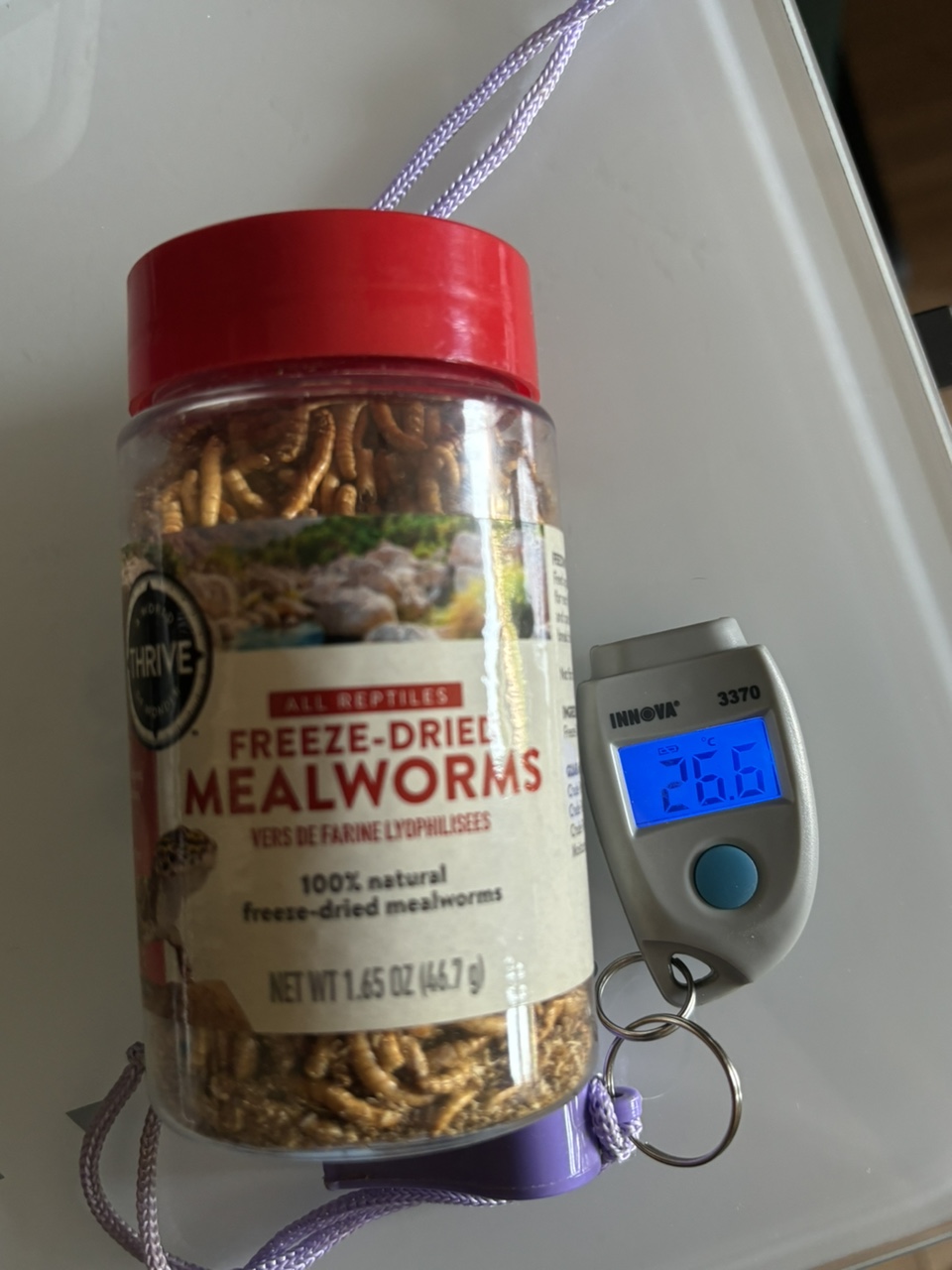 Gecko, Terrariums w temperature mgmt equipt, feed and vitamins image indicator(2)