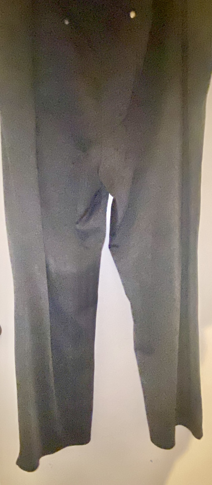 Plus size grey dress/casual pant image indicator(2)