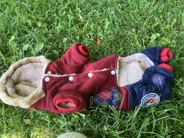 New dog jackets - photo 2
