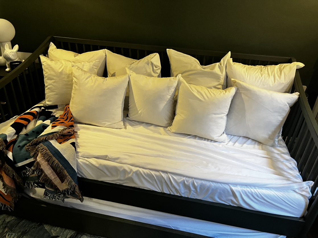 Crate and Barrel Daybed & Trundle set thumbnail