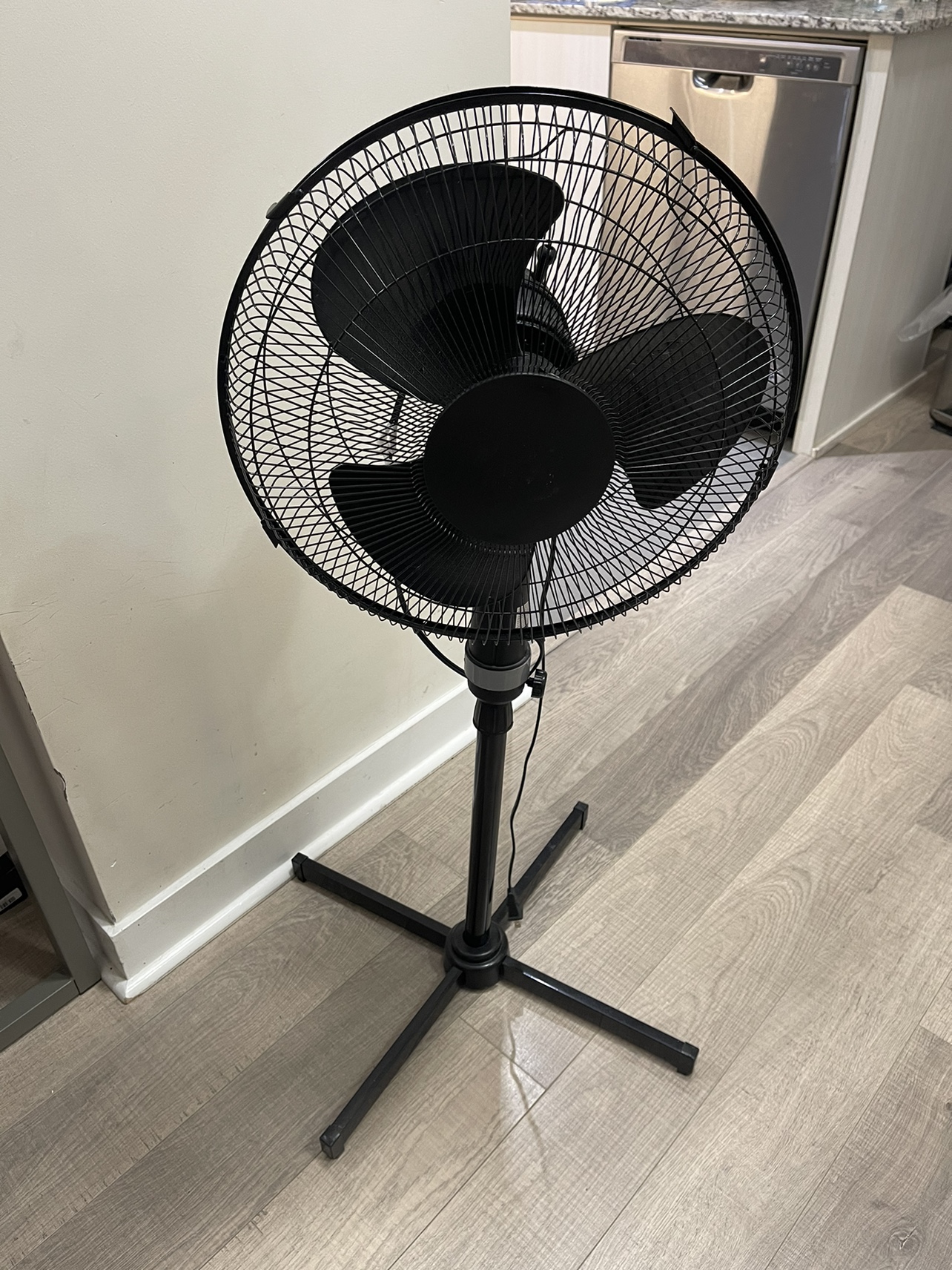 Pedestal Fan