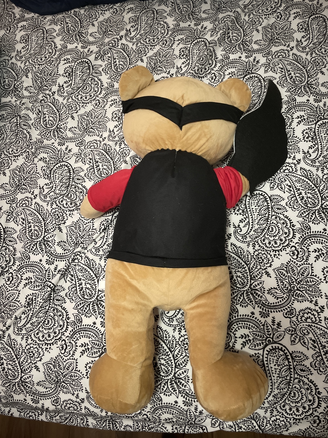 Raptors Mascot Bear - photo 3