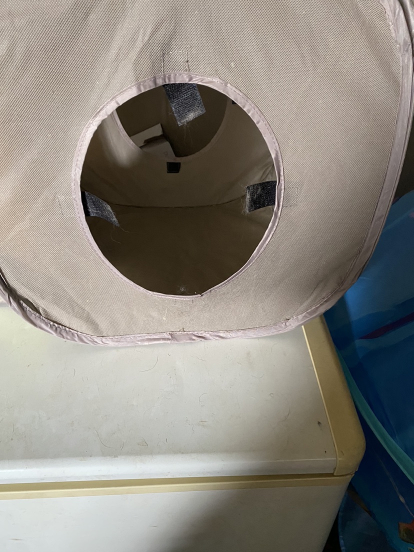 Cat cubes image indicator(2)