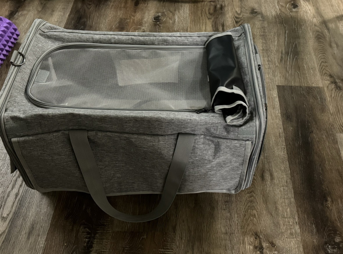 Pet carry on image indicator(4)