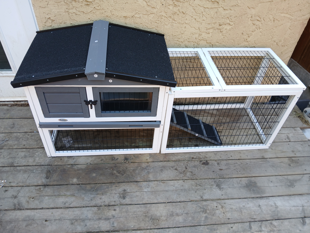 New Rabbit Hutch