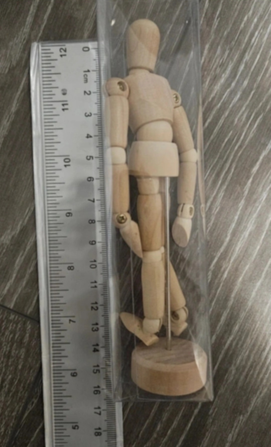 🥕 5.5" Human Manikin image indicator(2)