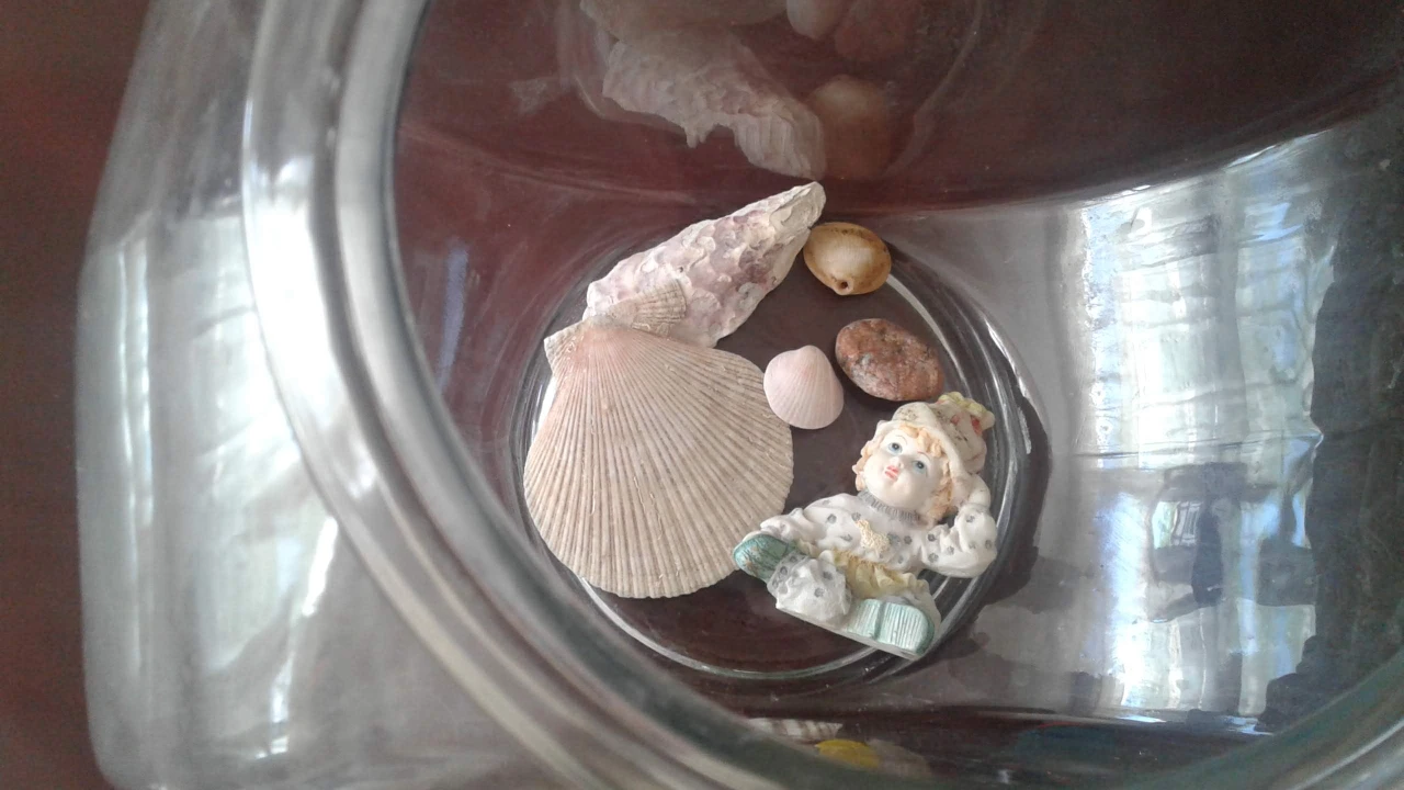 ⚽Oval/Round Fish Bowl Or Planter image indicator(5)