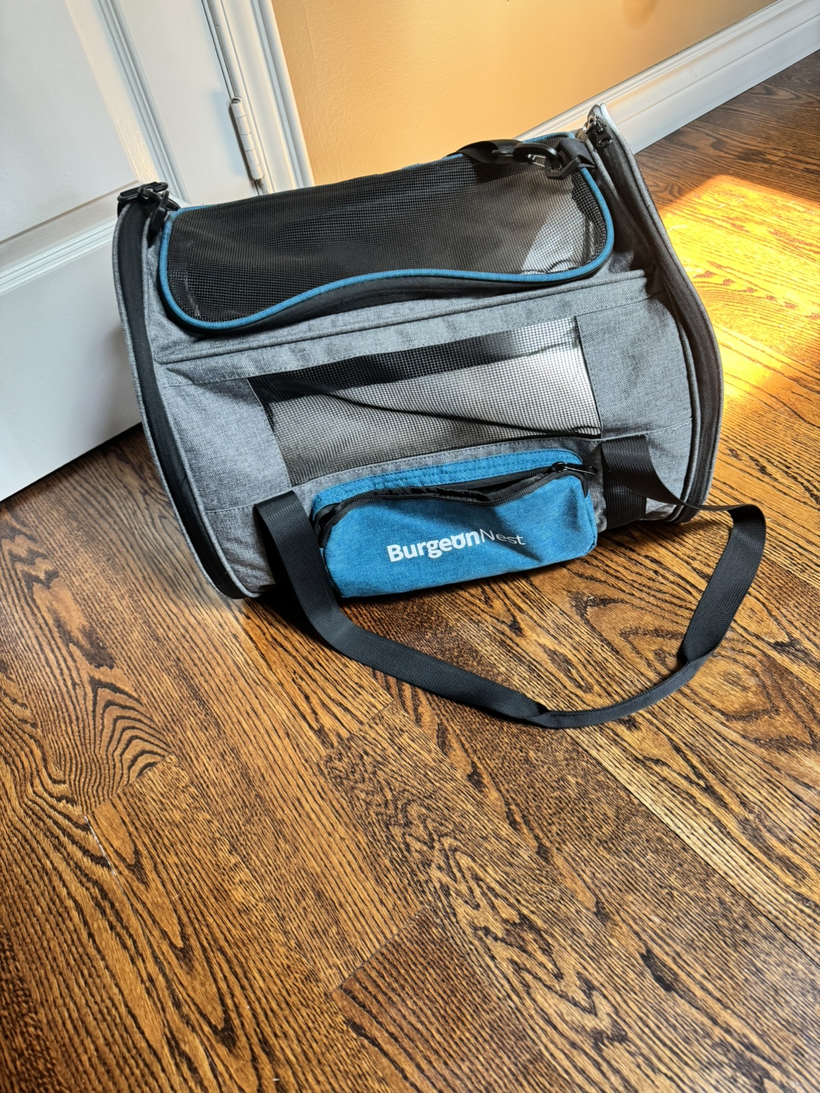 Pet Carrier thumbnail