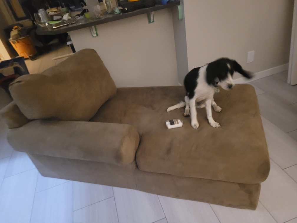 sectional and lounger. If up, it's still available. - photo 2