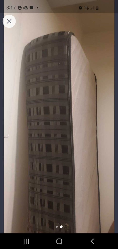 twin size mattress #freecycle thumbnail