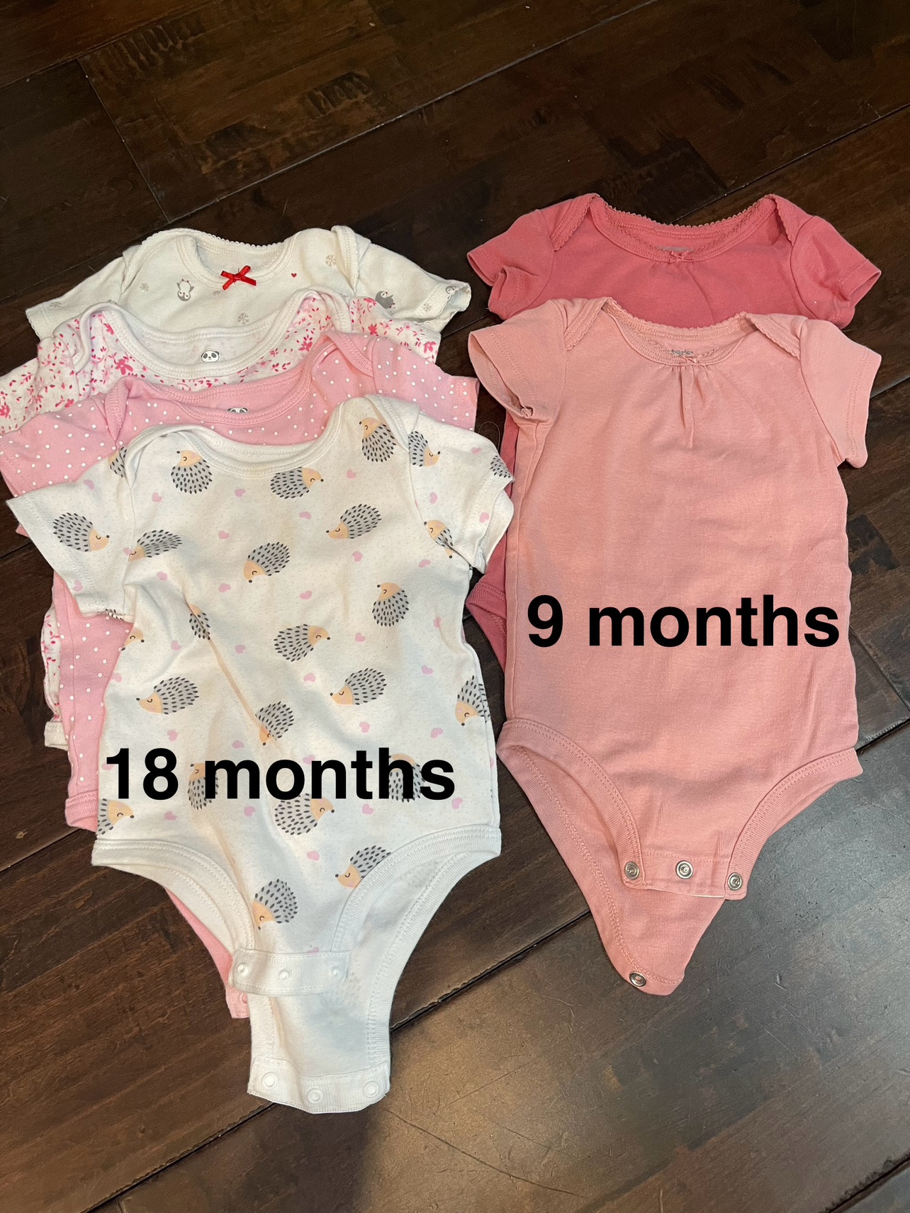 Infant Onesies - Girl (9 & 18 Months)