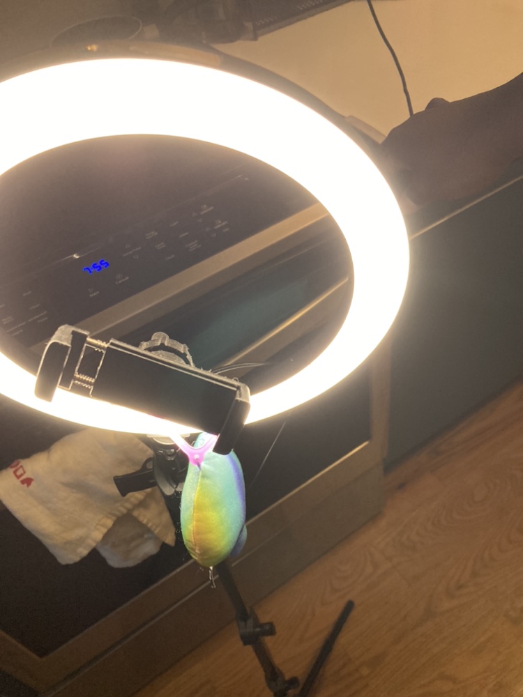 #freecycle - photo 4