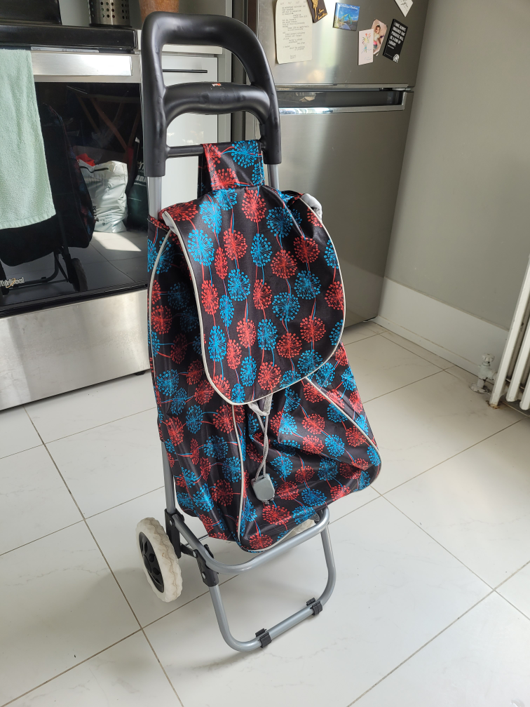 Shopping car (moving sale)