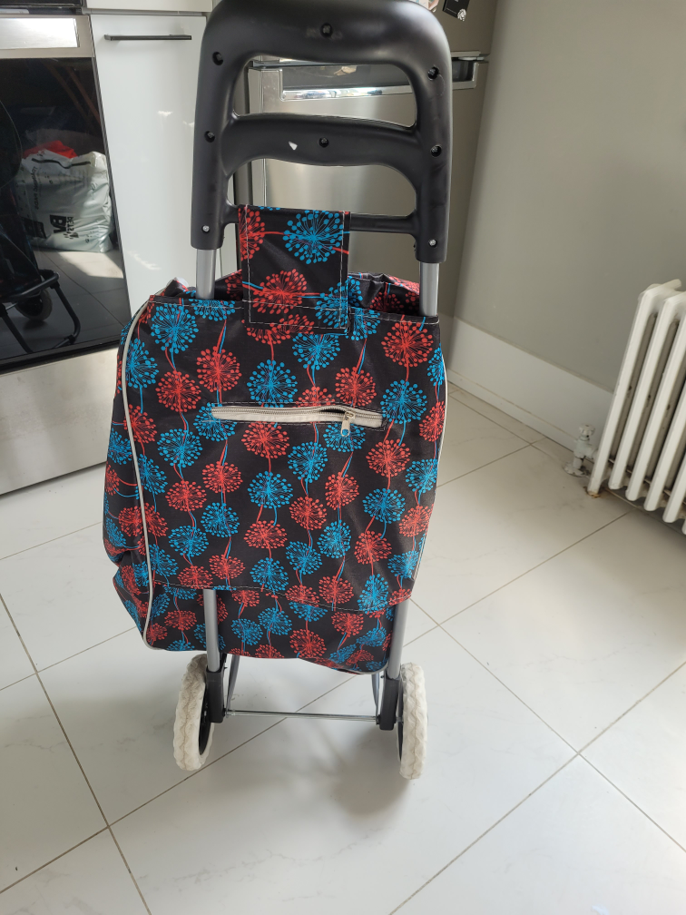 Shopping car (moving sale) - photo 3