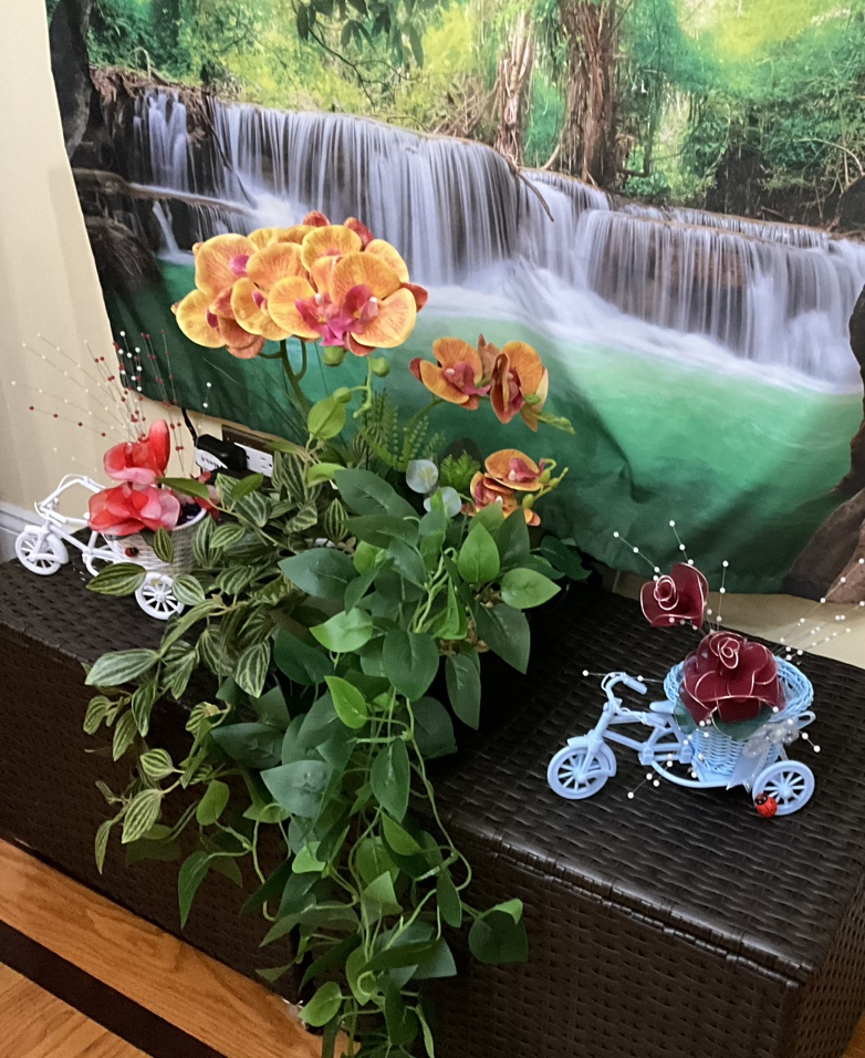 ⚽️ Flowers - blue tricycle ⚽️ - photo 3