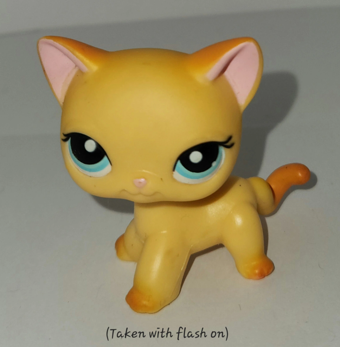 LPS Littlest Pet Shop Shorthair Cat #339 Authentic 2007 Toy Karrot