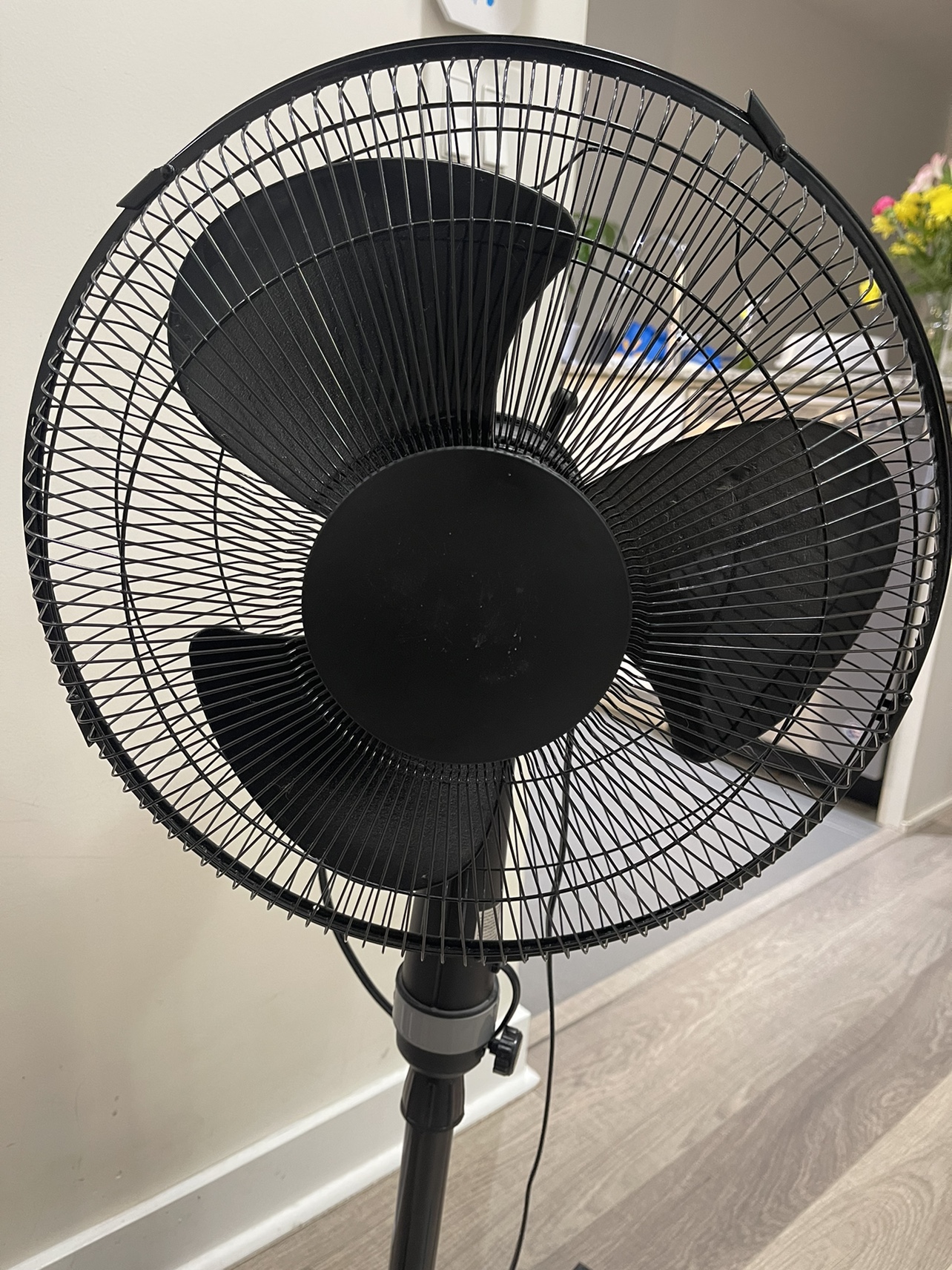 Pedestal Fan - photo 2