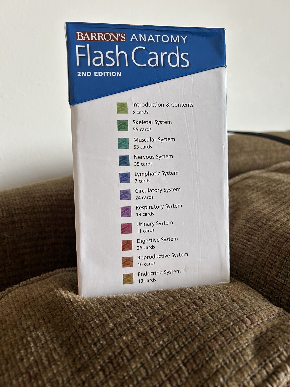 Anatomy Flash Cards - photo 3
