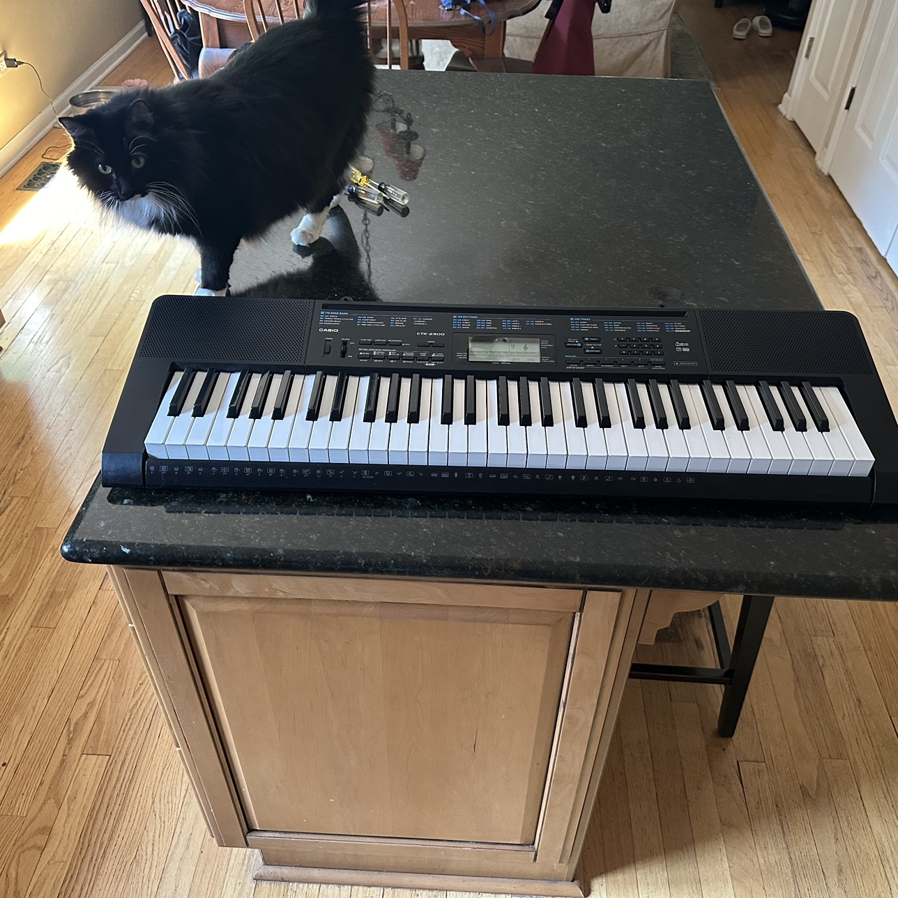 CASIO CTK-2300 keyboard/electric piano - photo 3