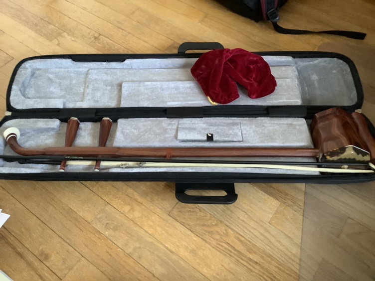 Chinese violin erhu ⚽️