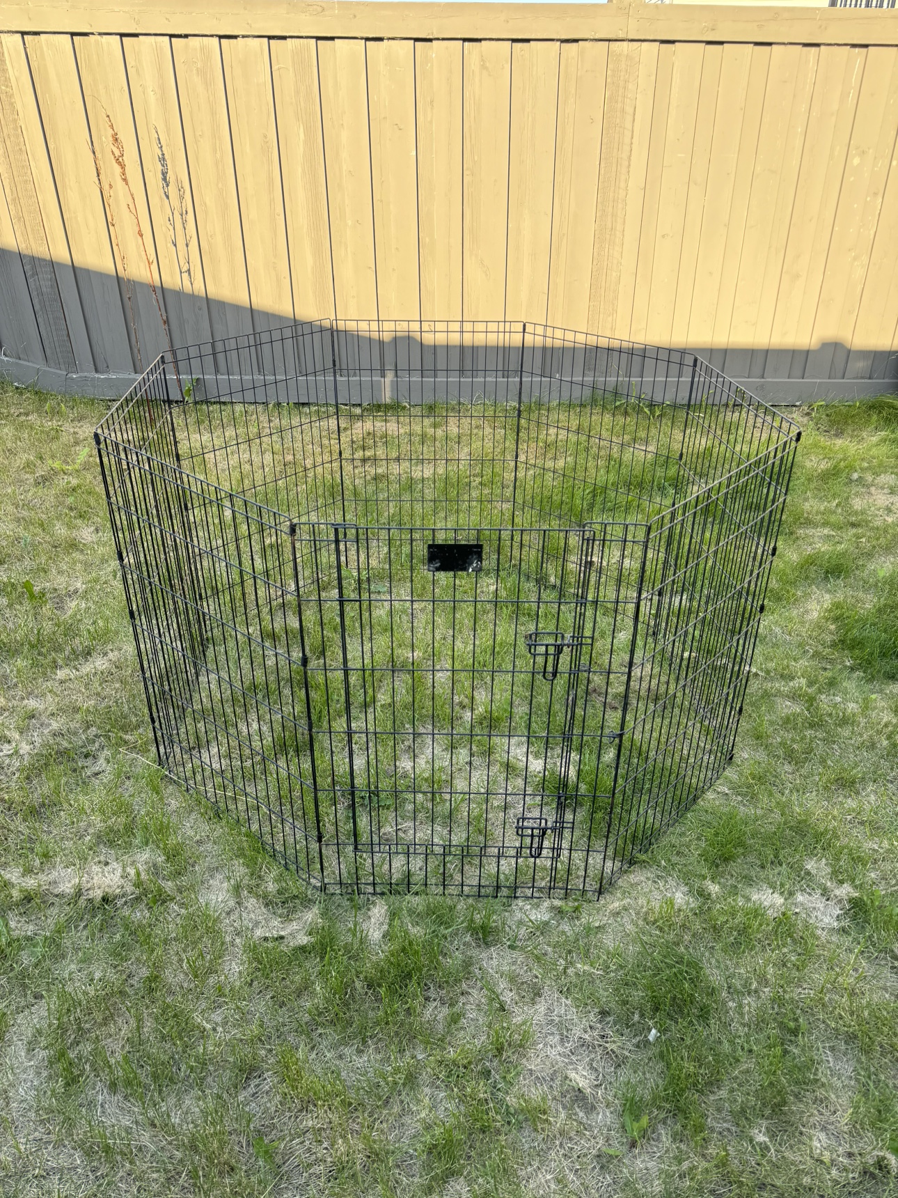 Dog Pen
