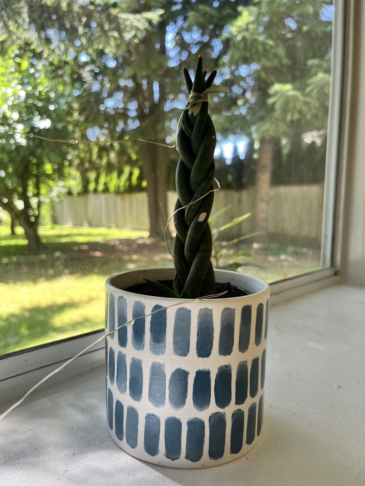 Plants for Sale - photo 3