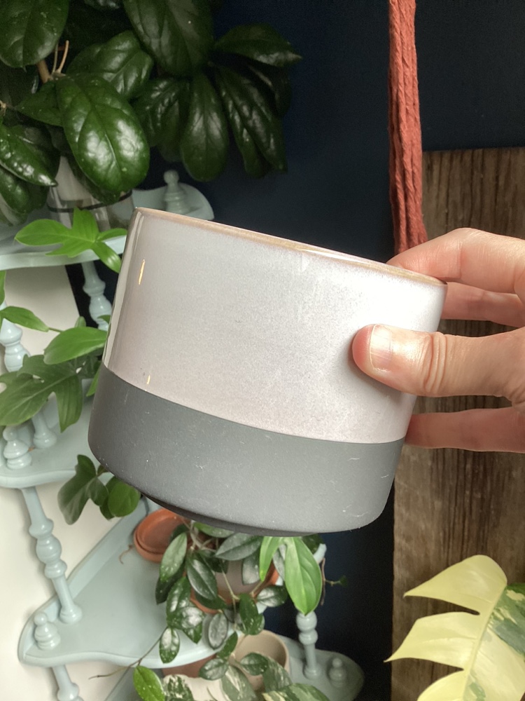 Collection of Plant Pots image indicator(9)